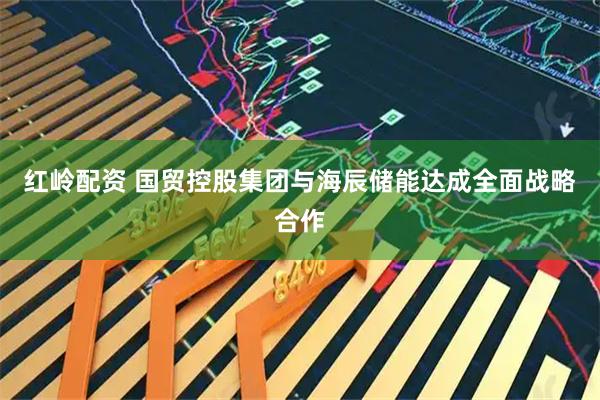 红岭配资 国贸控股集团与海辰储能达成全面战略合作